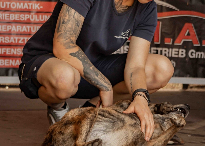 Rumänischer Edelmix-Hund, Valea, Tierheim Burgdorf