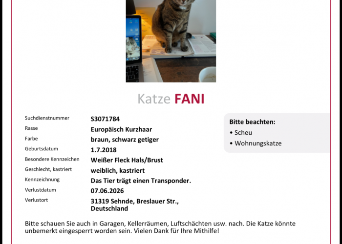 EKH-Mix-Katze, Fani, Tierheim Burgdorf